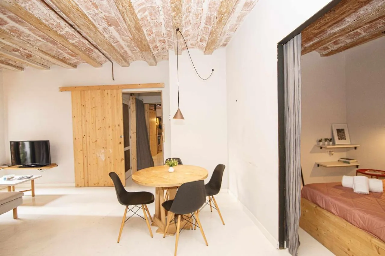 Apartamento Tr Auriga En El Barri Vell Gerona