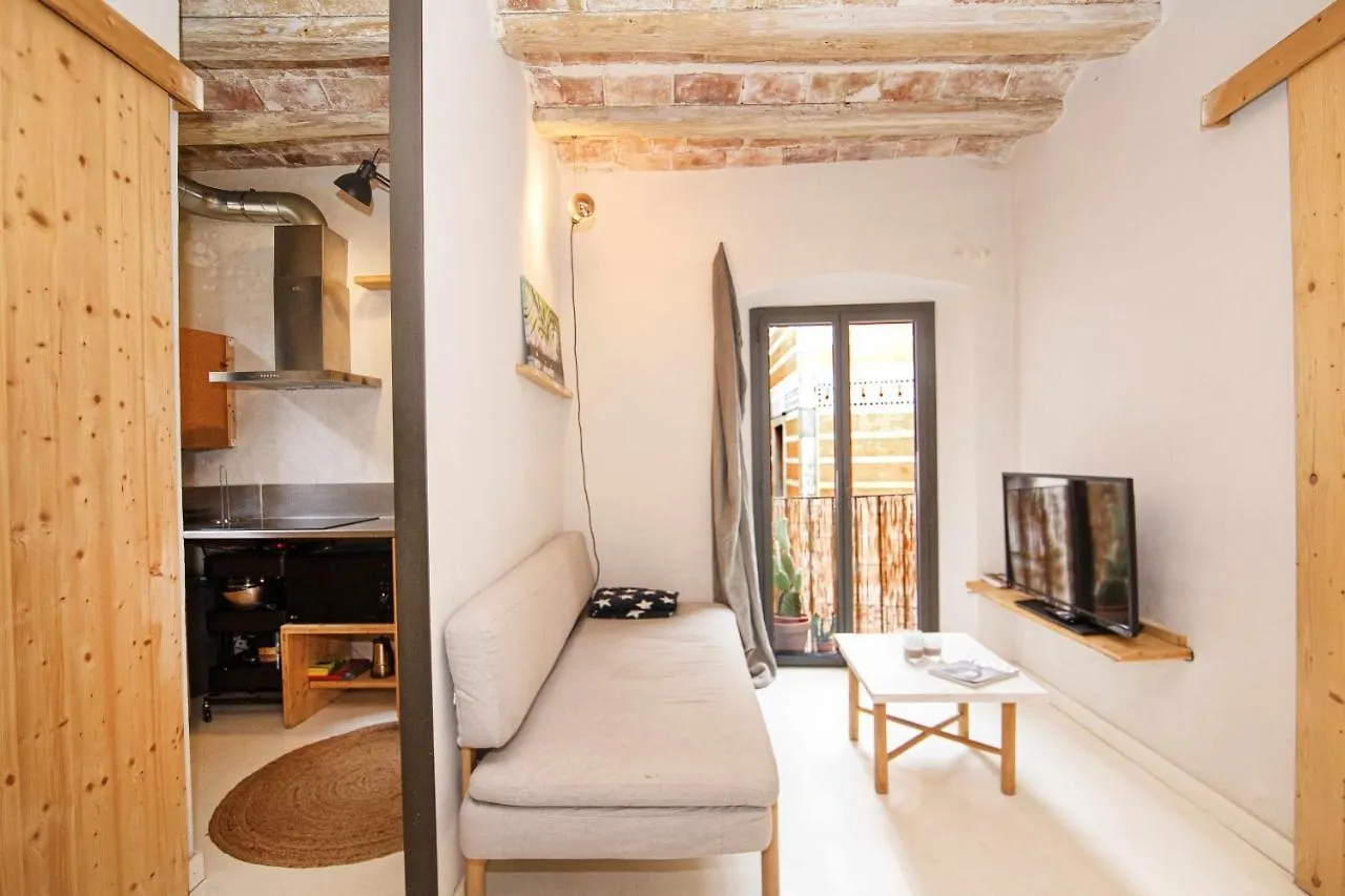 Appartement Apartamento Tr Auriga En El Barri Vell Gerona