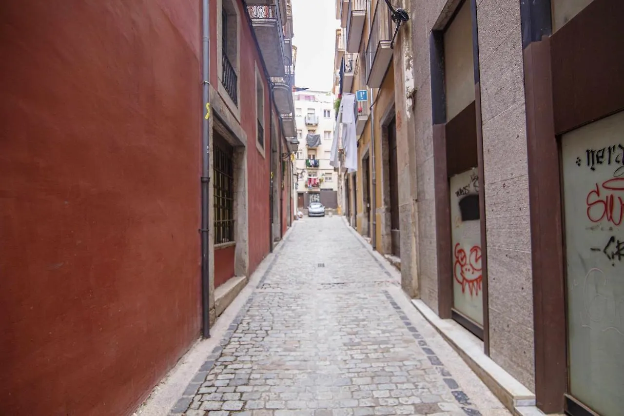 Apartamento Tr Auriga En El Barri Vell Gerona Appartement
