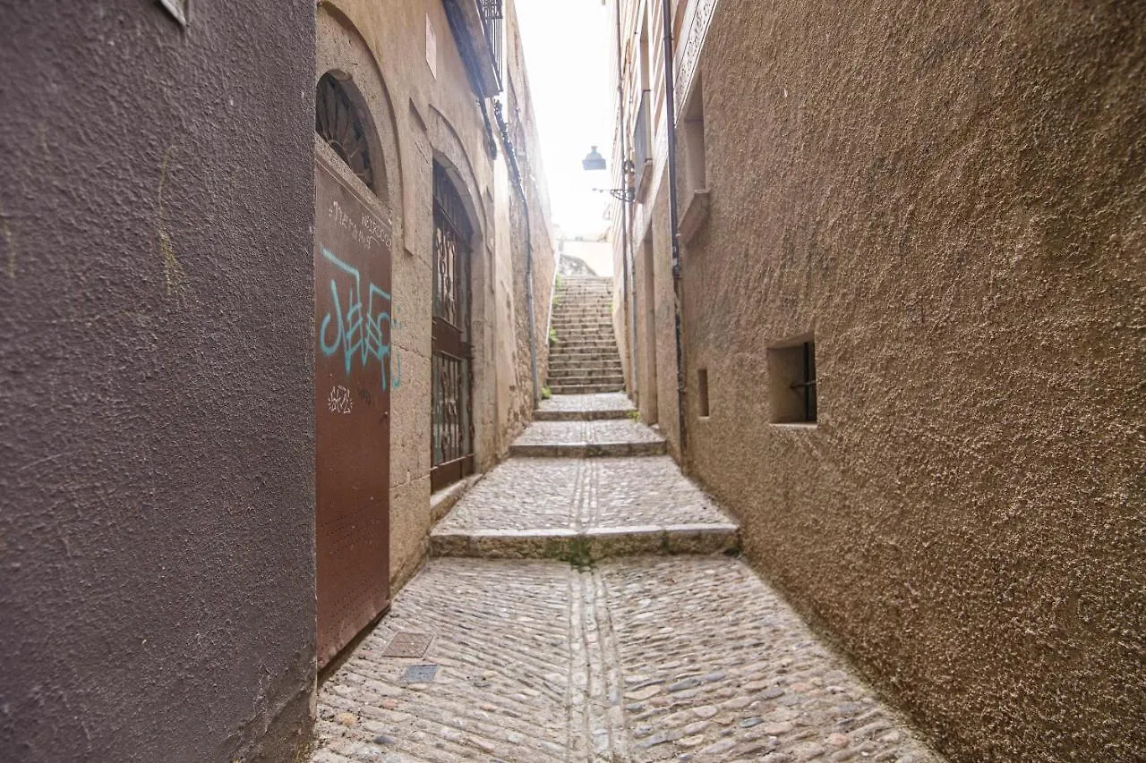 Apartamento Tr Auriga En El Barri Vell Gerona