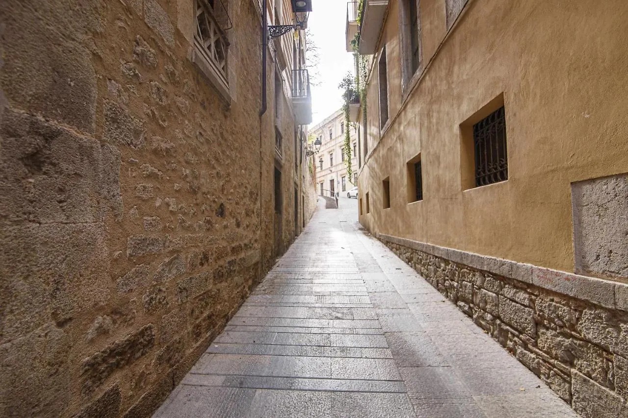 Appartement Apartamento Tr Auriga En El Barri Vell Gerona Spanje