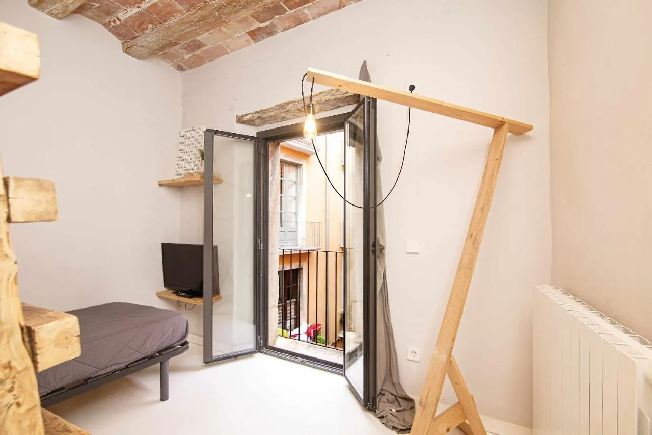 Apartamento Tr Auriga En El Barri Vell Gerona Appartement