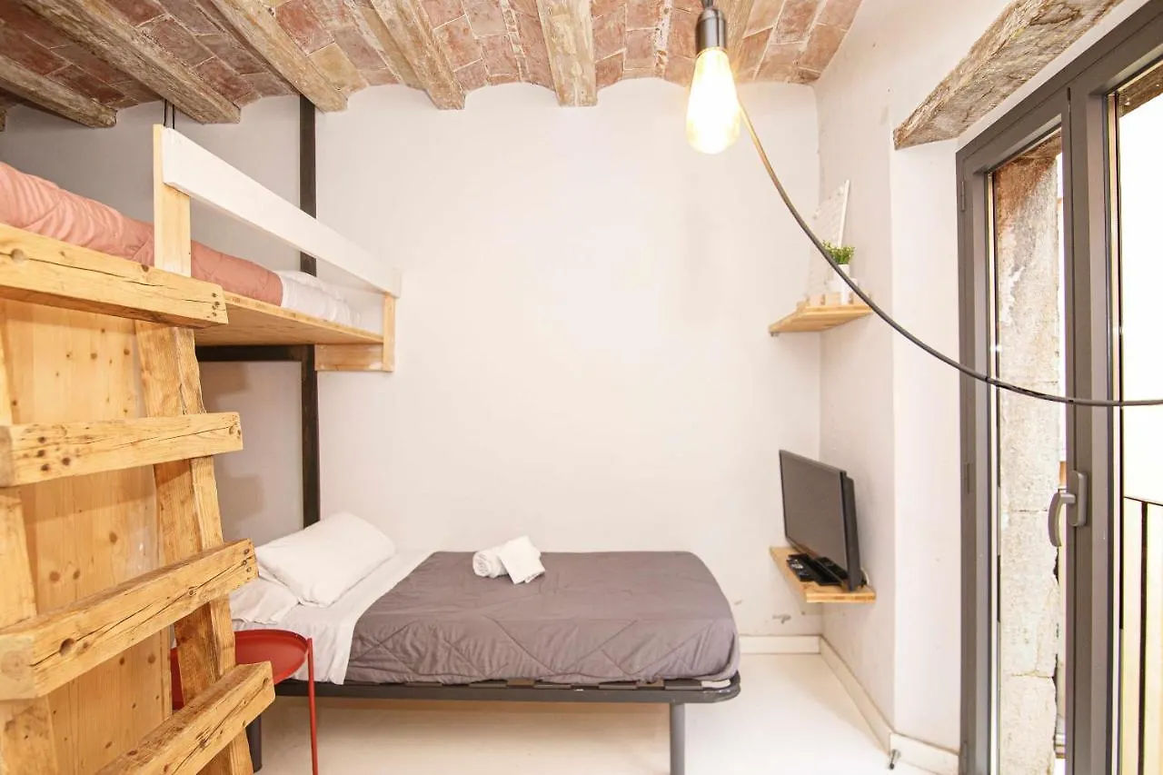 Apartamento Tr Auriga En El Barri Vell Gerona