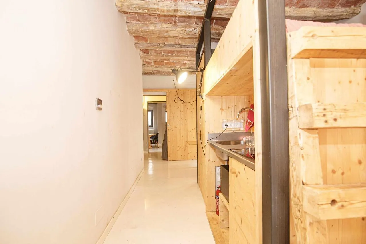 Appartement Apartamento Tr Auriga En El Barri Vell Gerona