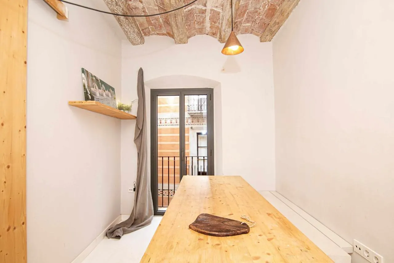 Apartamento Tr Auriga En El Barri Vell Gerona 0*,