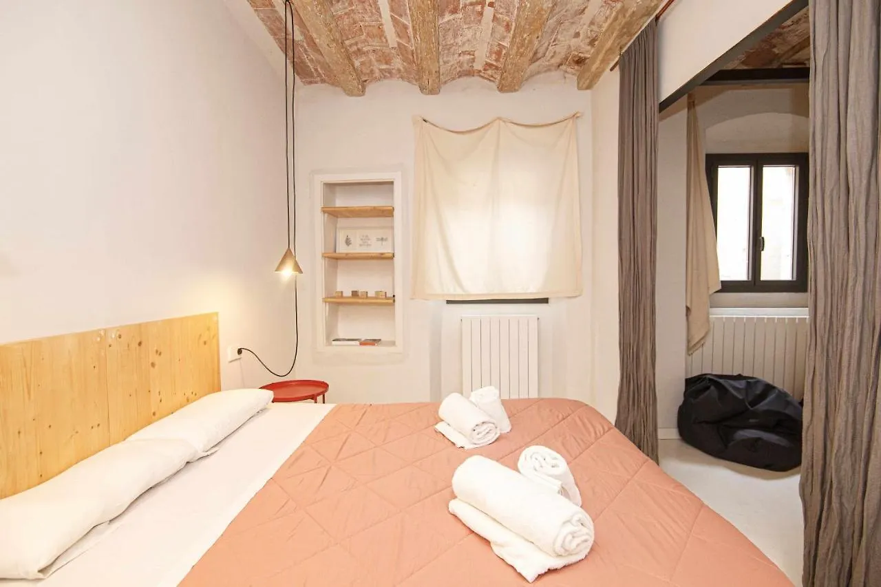 Apartamento Tr Auriga En El Barri Vell Gerona 0*,  Spanje